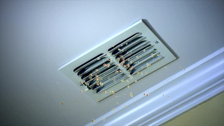 Best Best Air Duct Cleaning Company  in Sharpsburg, NC