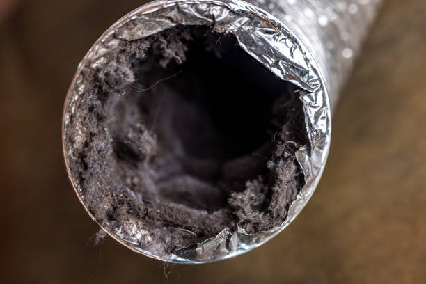 Best Home Air Vent Cleaning  in Sharpsburg, NC