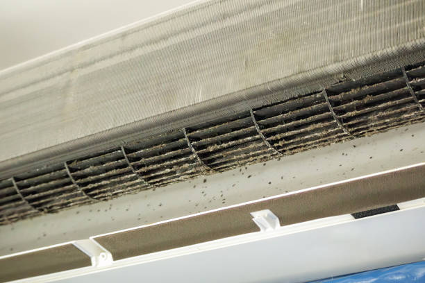 Best Home Air Vent Cleaning  in Sharpsburg, NC